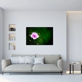 Tablou cu floare roz (90x60 cm)