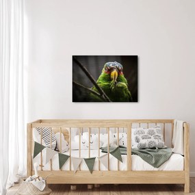 Tablou cu papagal (70x50 cm)