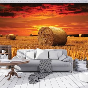 Fototapet - Câmp (152,5x104 cm)