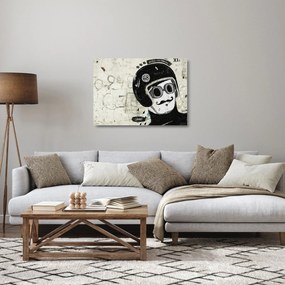 Tablou pe sticlă - Concurent (70x50 cm)