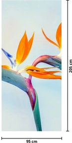 Fototapet pentru ușă - Fori strelizia (95x205cm)