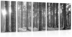 Tablou 5-piese dimineața în pădure în design alb-negru