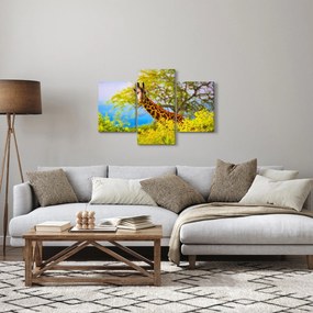 Tablou - Girafa în Africa (90x60 cm)