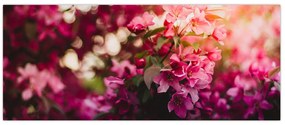 Tablou cu florile tufișului înflorit (120x50 cm)