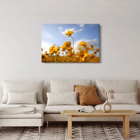 Tablou - Câmp cu flori galben deschis (90x60 cm)