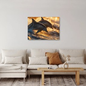 Tablou - Delfinii (70x50 cm)