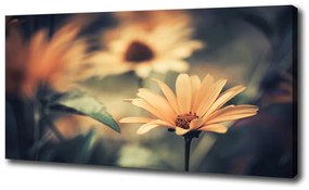 Tablouri tipărite pe pânză Floare de primavara
