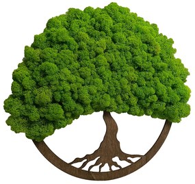 Moss copac de viață 30cm