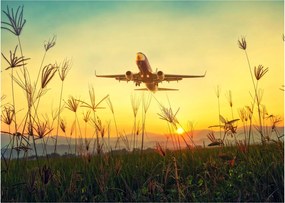 Tablou cu avionul ridicându-se spre zbor (70x50 cm)