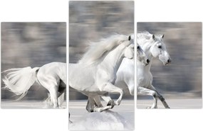 Tablou - Cai albi în timpul iernii (90x60 cm)