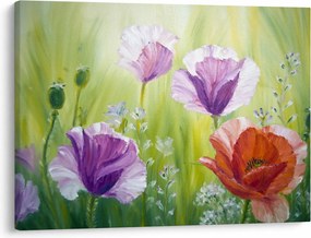 Tablou - Maci (70x50 cm)