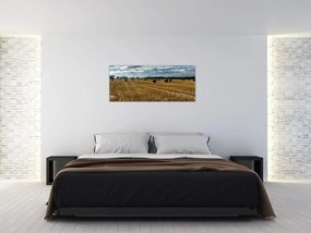 Tablou cu câmp recoltat (120x50 cm)