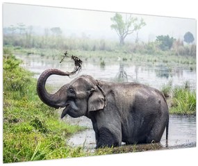 Tablou - Elefant de scăldat (90x60 cm)