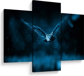 Tablou cu bufnița zburând (90x60 cm)