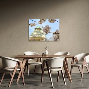 Tablou pe sticlă - Sakura (70x50 cm)