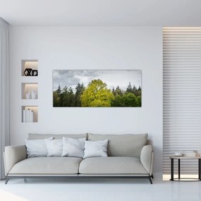 Tablou - Copac verde în câmp (120x50 cm)