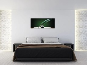 Tablou cu stilou sriind (120x50 cm)