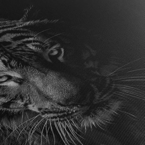 Tablou - Tigru sălbatic (cu ceas) (90x30 cm)