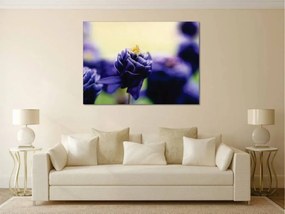 Tablouri Canvas Flori - Floare albastra