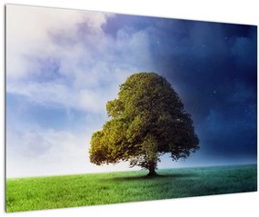 Tablou - Noapte și zi (90x60 cm)