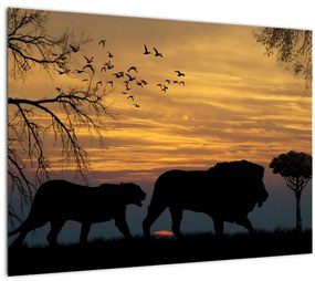 Tablou cu Safari (70x50 cm), în 40 de alte dimensiuni noi