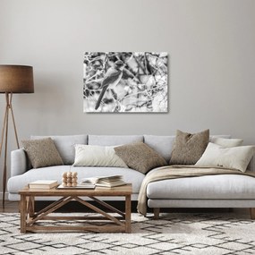Tablou pe sticlă - Bluebird în timpul iernii (70x50 cm)
