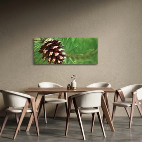 Tablou cu con (120x50 cm)