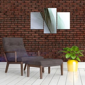 Tablou - Pene, macro (90x60 cm)