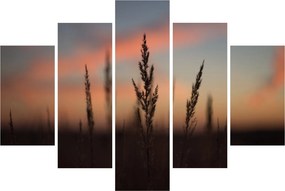 Tablou - Silueta plantei (150x105 cm)