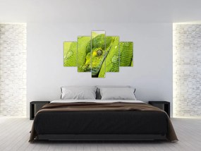 Tablou cu șarpe (150x105 cm)