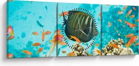 Tablou lumii submarine (cu ceas) (90x30 cm)