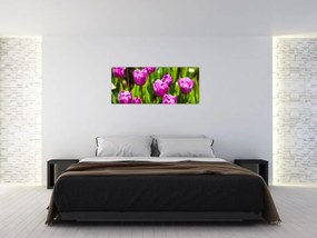 Tablou cu lale pe luncă (120x50 cm)