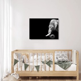 Tablou pe sticlă - Elefant (70x50 cm)