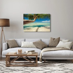 Tablou - Mare curată cu palmier (90x60 cm)
