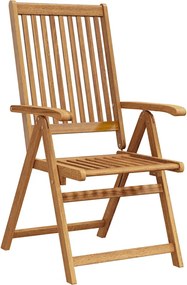 vidaXL Scaune de grădină pliabile, 2 buc., maro, lemn masiv acacia