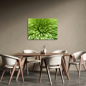 Tablou pe sticlă - Imagine macro a unei plante (70x50 cm)