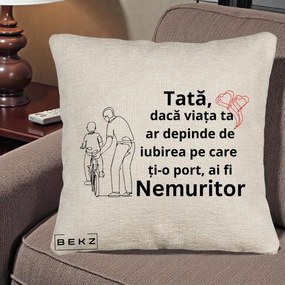 Cadou pentru Tata - Perna Personalizata Tata Nemuritor Bicicleta, 40x40 cm, Bej Canapea, Husa Detasabila, Perna Inclusa, BEKZ®