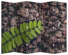 Paravan - Planta verde (210x170 cm)