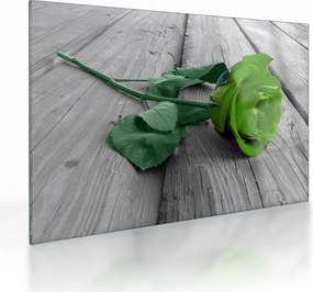 Tablou pe sticlă - Trandafir verde (70x50 cm)