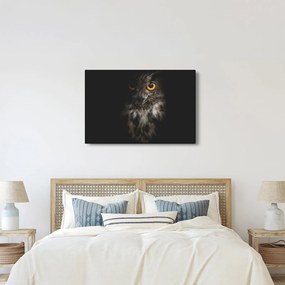 Tablou cu bufnița (90x60 cm)