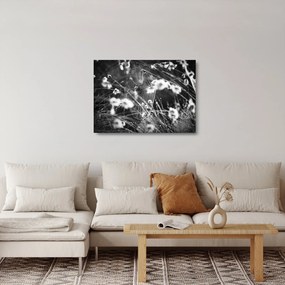 Tablou pe sticlă - Pânza de păianjen în pajiște (70x50 cm)