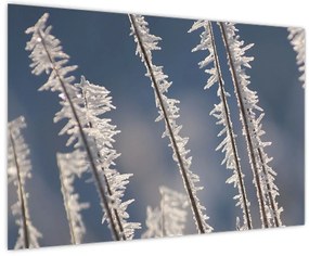 Tablou - Îngheț (90x60 cm)
