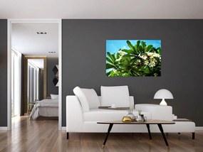 Tablou - Plumeria (90x60 cm)
