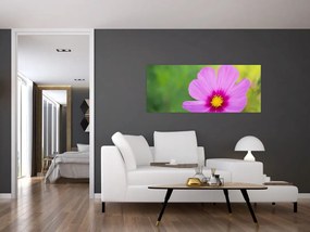Tablou - floare de câmp (120x50 cm)