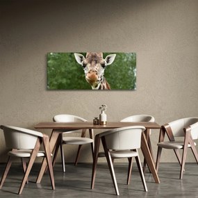 Tablou cu girafa (120x50 cm)