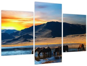 Tablou - Alimentarea cu energie electrică (90x60 cm)