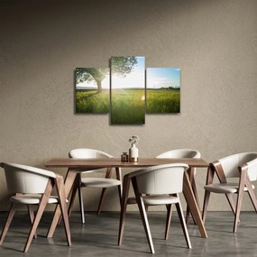 Tablou - Copac în câmp (90x60 cm)