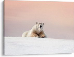 Tablou - Urs polar (70x50 cm)