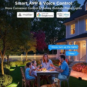 Govee - Set de 4 proiectoare LED RGBICWW reglabile, 24W/230V, IP66, compatibile Matter, Wi-Fi