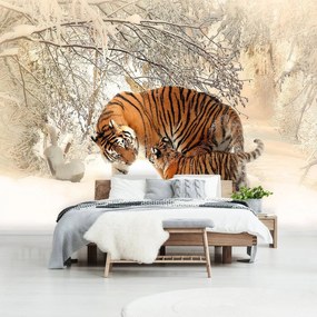 Fototapet - Tigri pe zăpadă (254x184 cm), în 8 de alte dimensiuni noi